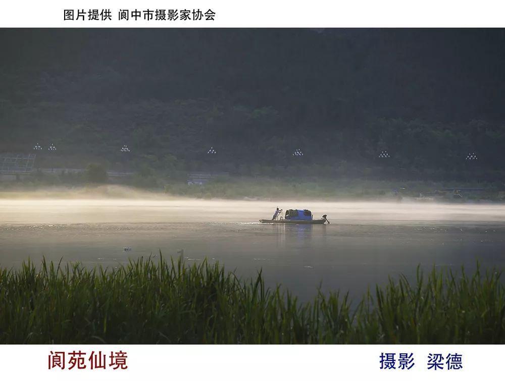 银河中动物逃生