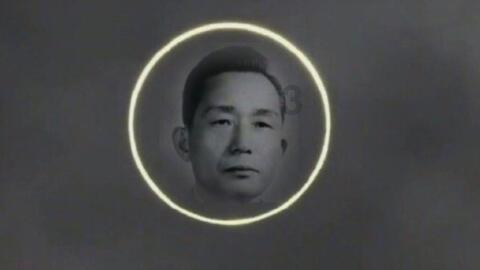 绿意盎然