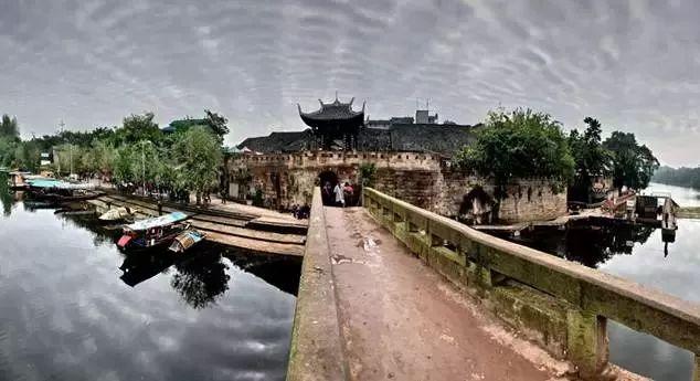 可爱的小孔雀救援